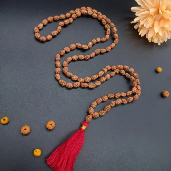 2 MUkhi / Two Face Java Rudraksha mala