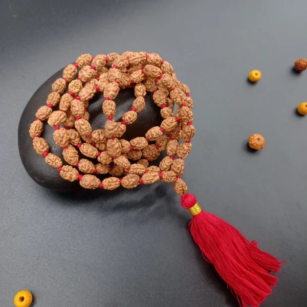 2 MUkhi / Two Face Java Rudraksha mala - Image 2
