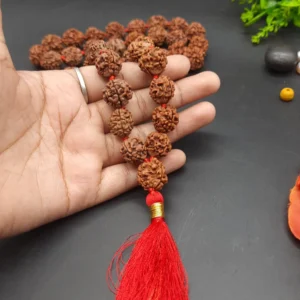 3 Mukhi / Three Face Rudraksha Mala