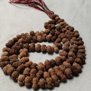 14 Mukhi Indonesian Mala