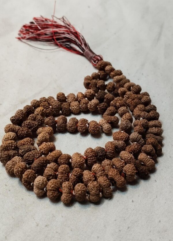 14 Mukhi Indonesian Mala