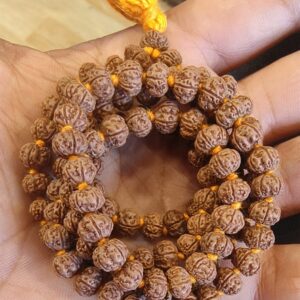 7 Mukhi Indonesian Mala