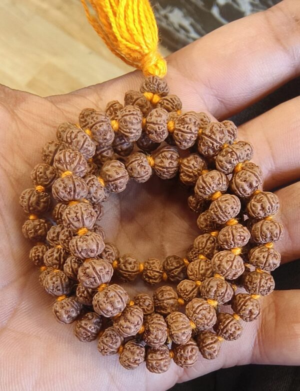 7 Mukhi Indonesian Mala