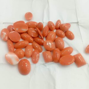 Japanese-Red-Coral-Moonga