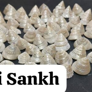 Moti Shankh