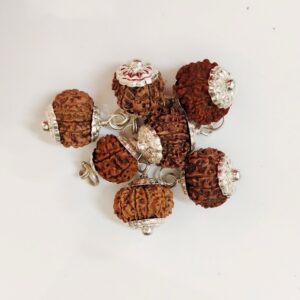 11-Mukhi Rudraksha Nepal with Silver Cap