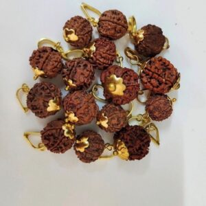 4-Mukhi Rudraksha Nepal