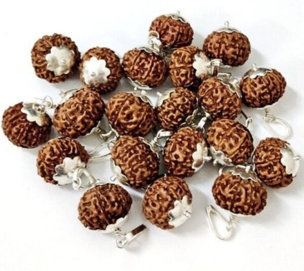 9-Mukhi Rudraksha Nepal - Image 4