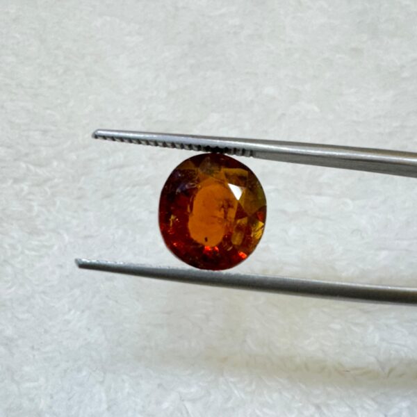 Sri Lankan Garnet