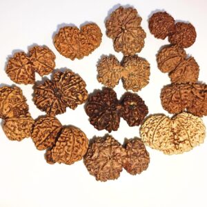 Gauri Shankar Rudraksha Nepal