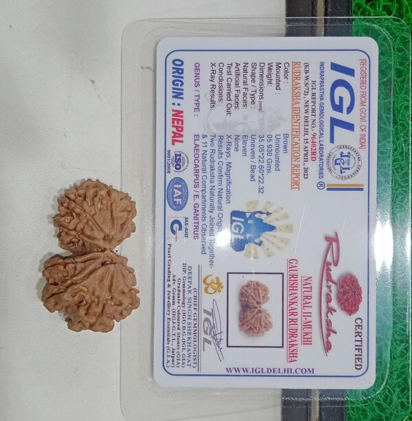 Gauri Shankar Rudraksha Nepal - Image 2