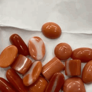 Japanese Moonga Red Coral