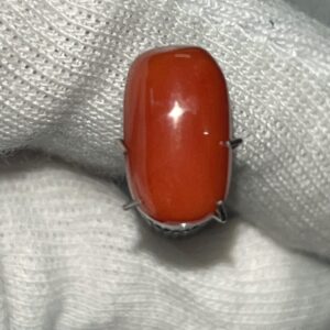 Italian Moonga Red Coral