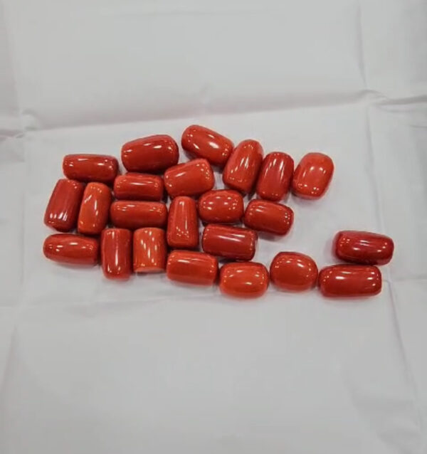 Natural Red Coral