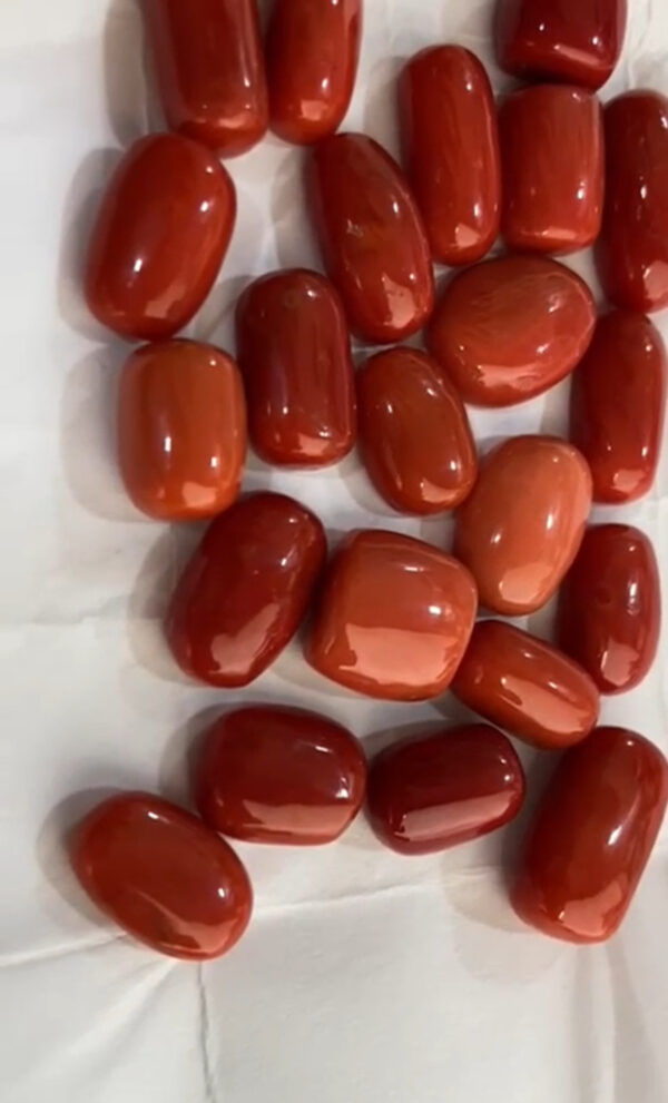 Red Coral Italian