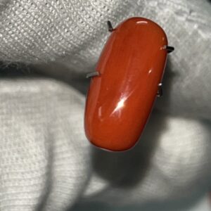 Red Coral Moonga