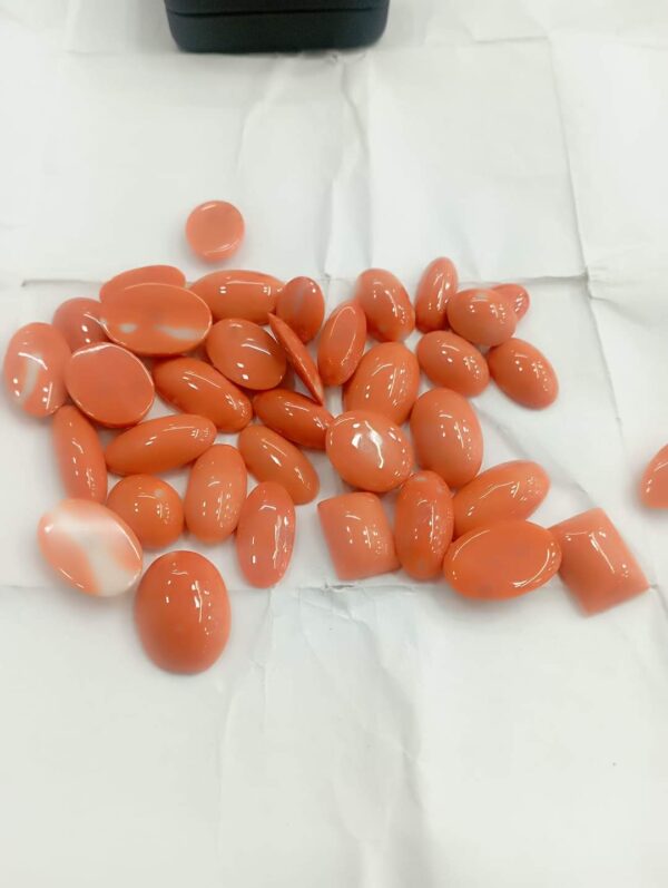 Japanese Moonga Red Coral - Image 2