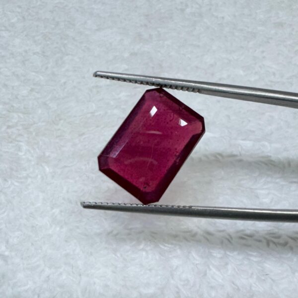 Ruby Manik Sudan